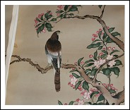  Scroll ( sei ) Cina, Dinastia Quing. Forma